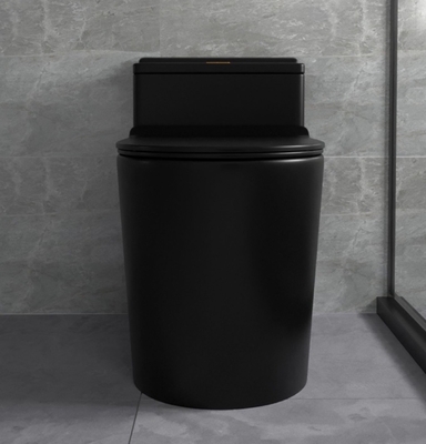 Bathroom туалета сифона топя наборы штейнового черного цельного керамические