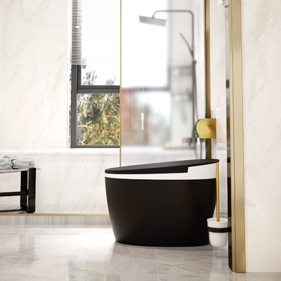 Место нагревая биде Bathroom Siphonic туалета 3L 6L умное умное