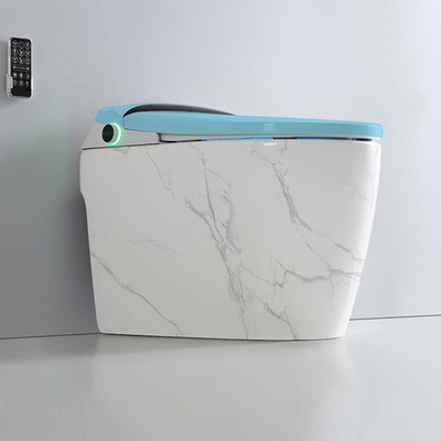 Цельная яма смешивания туалета Bathroom Siphonic умная размечая 300mm