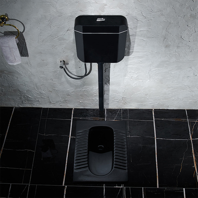 Финиш поверхности сатинировки лотка сидеть на корточках черноты Matt Bathroom керамический