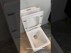 Square WC Siphonic Flush Sanitary Ware Toilet Self Cleaning Spray